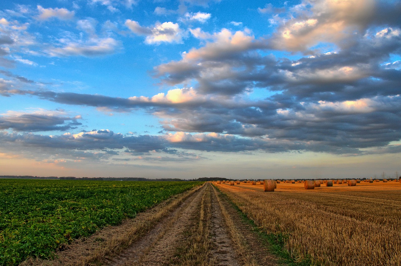 champ, route, rural-213364.jpg